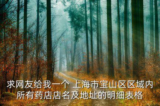 求網(wǎng)友給我一個 上海市寶山區(qū)區(qū)域內所有藥店店名及地址的明細表格
