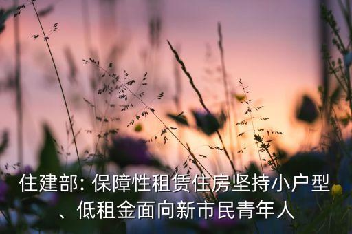住建部: 保障性租賃住房堅持小戶型、低租金面向新市民青年人