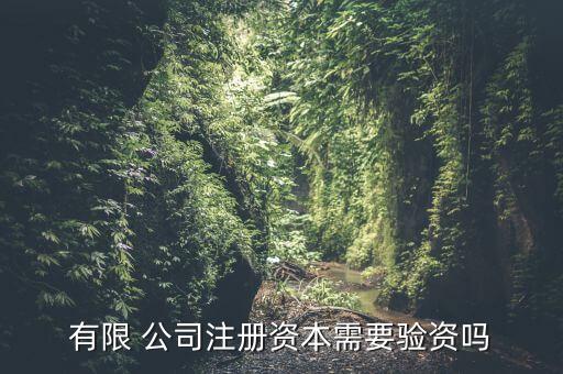 有限 公司注冊資本需要驗(yàn)資嗎