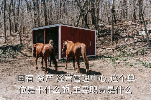 湘潭市國有資產經營管理有限責任公司,江西大成國有資產經營管理有限責任公司