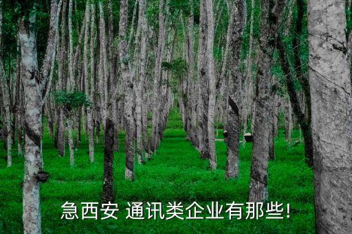 急西安 通訊類(lèi)企業(yè)有那些!