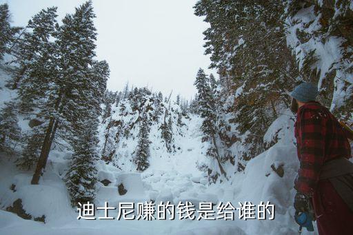 上海申迪集團領(lǐng)導,申迪集團女領(lǐng)導