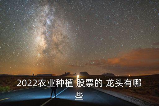 2022農業(yè)種植 股票的 龍頭有哪些