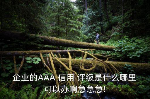 中國(guó)互聯(lián)網(wǎng)協(xié)會(huì)aa級(jí)信用評(píng)級(jí)證書(shū)
