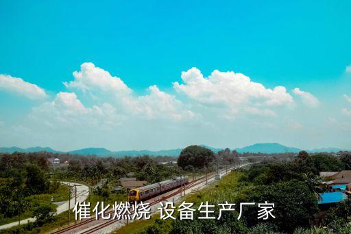 催化燃燒 設備生產廠家