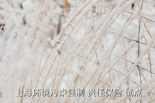 上海食品安全責任保險試點,食品安全責任保險是強制的嗎