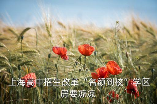  上海高中招生改革“名額到?！睂W(xué)區(qū)房要涼涼