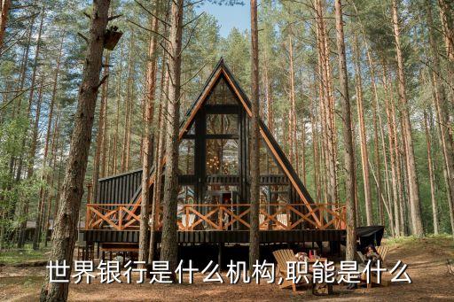  世界銀行是什么機構(gòu),職能是什么