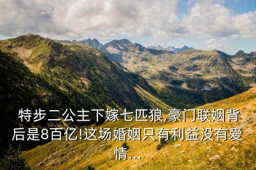  特步二公主下嫁七匹狼,豪門聯(lián)姻背后是8百億!這場(chǎng)婚姻只有利益沒(méi)有愛(ài)情...