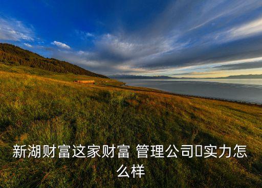 新湖財富這家財富 管理公司?實力怎么樣