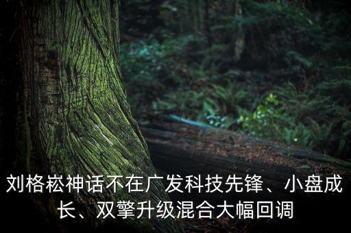 劉格崧神話不在廣發(fā)科技先鋒、小盤成長、雙擎升級混合大幅回調(diào)