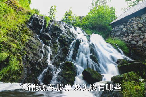 新能源車(chē)股票龍頭股有哪些
