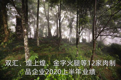 雙匯、煌上煌、金字火腿等12家肉制品企業(yè)2020上半年業(yè)績
