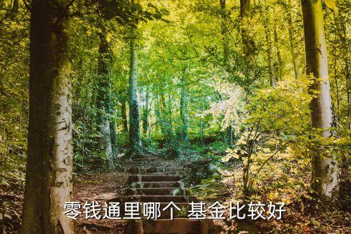 零錢(qián)通里哪個(gè) 基金比較好