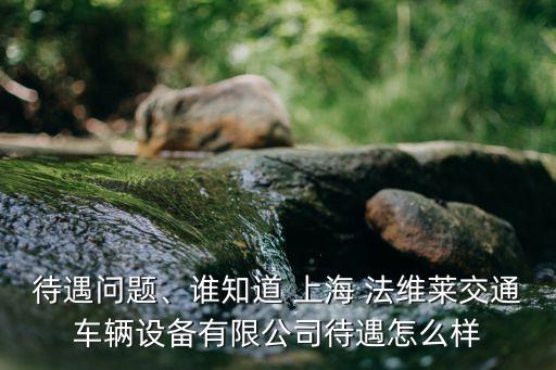 待遇問(wèn)題、誰(shuí)知道 上海 法維萊交通車(chē)輛設(shè)備有限公司待遇怎么樣