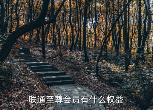 聯通至尊會員有什么權益