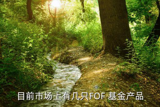 目前市場上有幾只FOF 基金產品