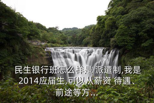  民生銀行班怎么樣是 派遣制,我是2014應屆生,可以從薪資 待遇、前途等方...