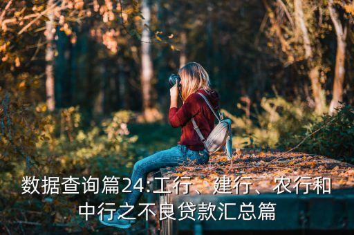 數(shù)據(jù)查詢(xún)篇24:工行、建行、農(nóng)行和中行之不良貸款匯總篇
