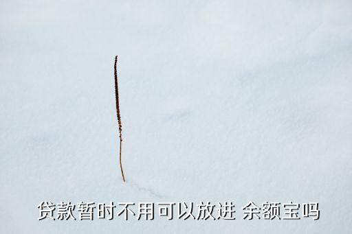  貸款暫時不用可以放進 余額寶嗎