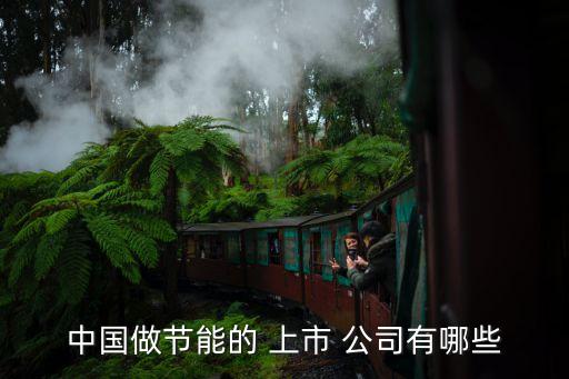 中礦環(huán)保科技是不是上市公司,萬(wàn)德斯環(huán)?？萍忌鲜泄?/></a></span><span id=