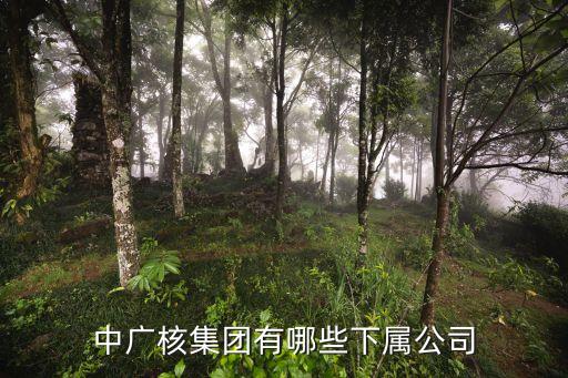 核電產業(yè)基金,持有中國核電的基金有哪些