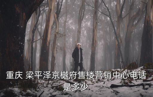 陜西省投資集團梁平,梁平 陜西投資集團有限公司