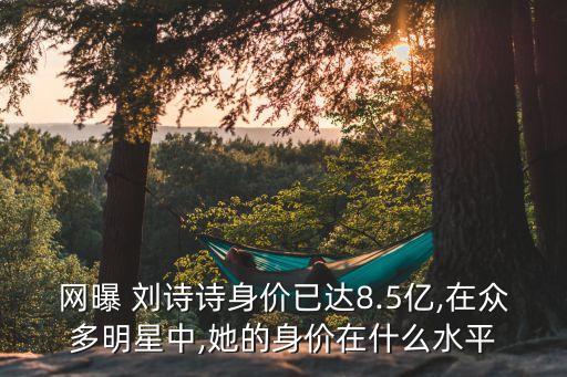 劉詩(shī)詩(shī)趙麗穎開公司,楊冪劉詩(shī)詩(shī)趙麗穎唐嫣