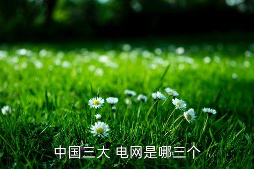 中國(guó)三大 電網(wǎng)是哪三個(gè)