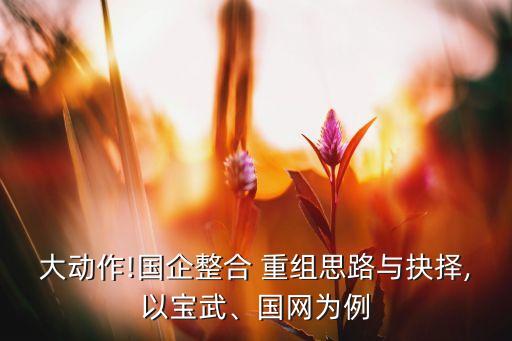 大動(dòng)作!國企整合 重組思路與抉擇,以寶武、國網(wǎng)為例
