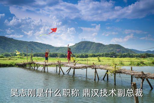 吳志剛是什么職稱(chēng) 鼎漢技術(shù)副總裁