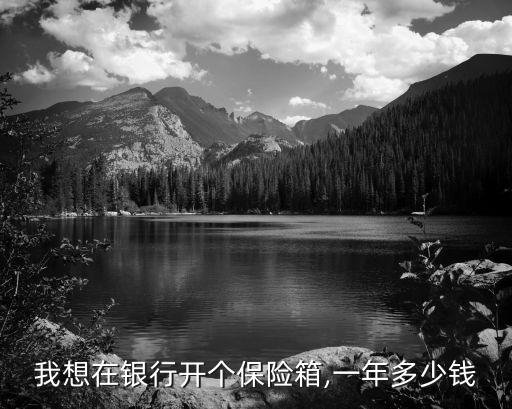 我想在銀行開(kāi)個(gè)保險(xiǎn)箱,一年多少錢(qián)