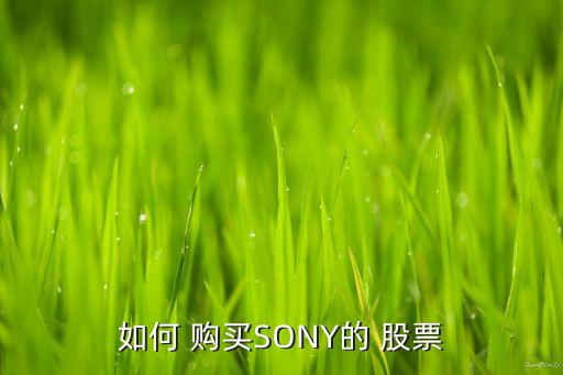 如何 購(gòu)買SONY的 股票