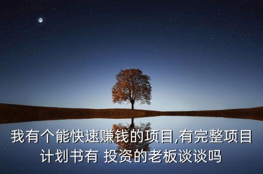 我有個能快速賺錢的項(xiàng)目,有完整項(xiàng)目計(jì)劃書有 投資的老板談?wù)剢? class=