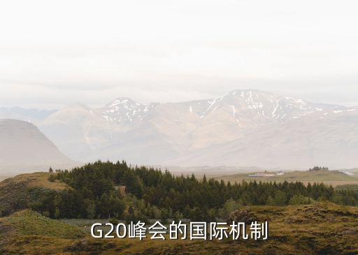 G20峰會的國際機(jī)制