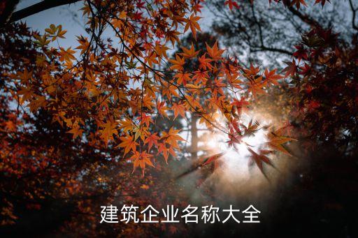 天津小站建筑安裝工程有限責任公司,內蒙古鑫安建筑安裝工程有限責任公司