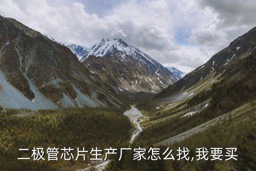 二極管芯片生產(chǎn)廠(chǎng)家怎么找,我要買(mǎi)