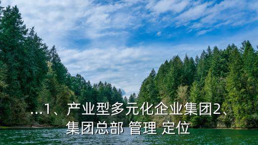 ...1、產(chǎn)業(yè)型多元化企業(yè)集團2、集團總部 管理 定位