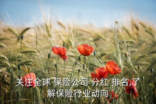 關注全球 保險公司 分紅 排名,了解保險行業(yè)動向
