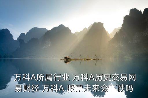  萬科A所屬行業(yè) 萬科A歷史交易網(wǎng)易財(cái)經(jīng) 萬科A 股票未來會(huì)下跌嗎