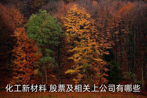 化工新材料 股票及相關上公司有哪些