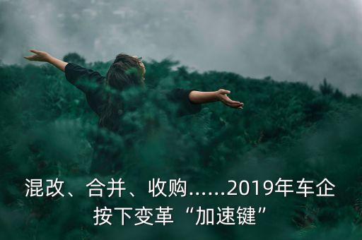 混改、合并、收購(gòu)……2019年車(chē)企按下變革“加速鍵”