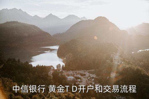 中信銀行 黃金T D開(kāi)戶(hù)和交易流程