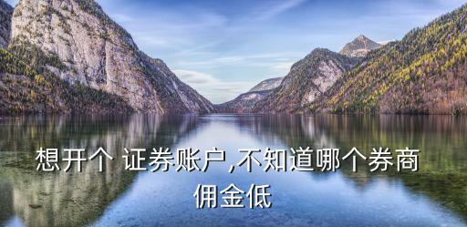 想開(kāi)個(gè) 證券賬戶,不知道哪個(gè)券商 傭金低