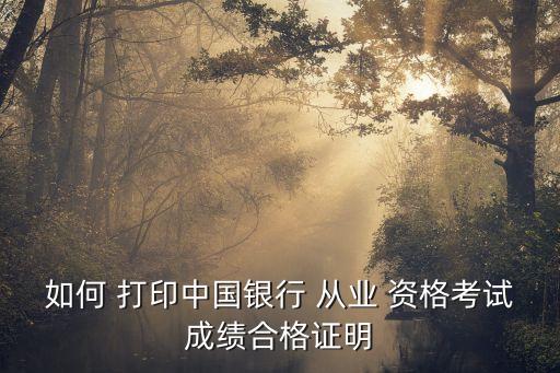 如何 打印中國銀行 從業(yè) 資格考試成績(jī)合格證明
