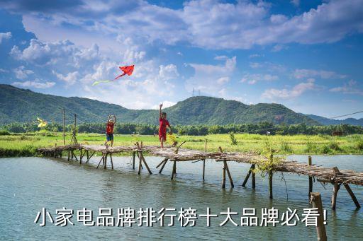 中國(guó)家用電器100強(qiáng),家用電器的英語單詞100個(gè)