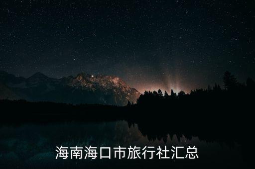 海南?？谑新眯猩鐓R總