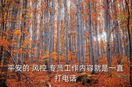 平安的 風控 專員工作內容就是一直打電話
