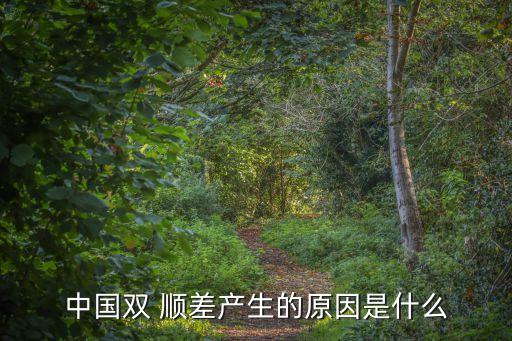 中國雙 順差產生的原因是什么