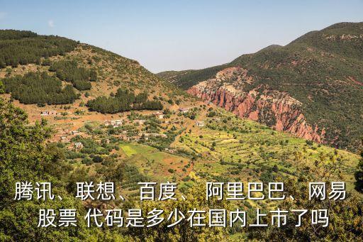 騰訊、聯(lián)想、百度、 阿里巴巴、網(wǎng)易 股票 代碼是多少在國內(nèi)上市了嗎